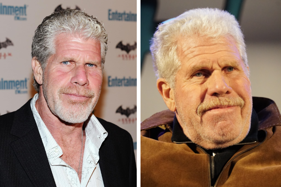 Ron Perlman net worth